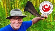 Live testowy ze wsi w Kambodży