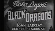 Black Dragons - Czarny smok 1942 napisy.pl. aut