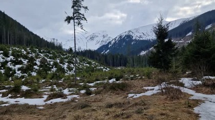 Postanowiliśmy wrócić w okolice Zakopanego, sprawdzić, co tam się zmieniło.  Oldze pomieszały się 3km