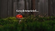 Grzyb truciciel...