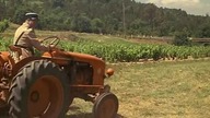 Żandarm z St.  Tropez (1964)