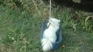 Na drugie piętro poprosze
