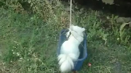 Na drugie piętro poprosze
