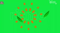Music Box Polska - Restart emisji (17. 12. 2023, 06:00)
