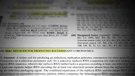 Plandemic 2 INDOCTORNATION.  English.