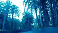 Gran Canaria Mogan Puerto Rico Palmy