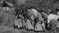Sanjuro samuraj znikąd 1962 lektor pl