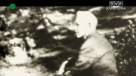 Bartok Bela.  Koncert na orkiestrę - Discovering Masterpieces Of Classical Music.  Bartók Béla.  Con