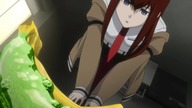 Steins; gate - Pojedynek Zboczeńców [DUBBING PL]