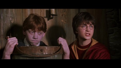 Harry Potter i Komnata P***oli cz. 3