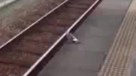 Tymczasem na stacji metra. Pewien nietypowy pasażer jedzie do pracy. 