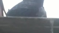 Tomek czemu żeś k*rwa tyle dziur narobił?!
