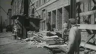 Kariera (1954)