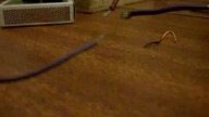 Test mini trafopowielacza + NPN SU169