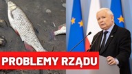 Co się stało z Odrą? Poseł Gowina OBNAŻA hipokryzję rządu w sprawie katastrofy