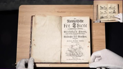 Johann Samuel Haller 17071777  Die Naturgeschichte der Thiere, Berlin 1757 #atticus #grafika