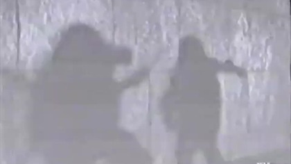 Partners In Kryme - Turtle Power