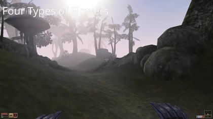 Morrowind Mistress of Magic 02 - First quests, Muck & Saviors Hide