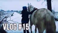 Spacer z końmi  Vlog #15 