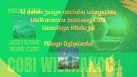 Zestawy Wielkanocne - Wszystkie Serie COBI