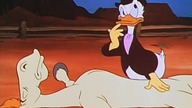 Kaczor Donald - Komboj z miasta