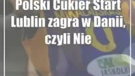 Polski Cukier Start Lublin zagra w Danii, czyli Niedźwiedzie groźniejsze niż Króliki