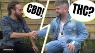 Marihuana rekreacyjna a zdrowie | Profilaktyka | Jarek Stadnik wywiad
