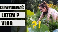 CO WYSIEWAĆ w sierpniu i lipcu ? VLOG z WARZYWNIKA