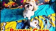 Puppyhood - fun with Hair Dryer - Video