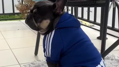 To poważny problem.