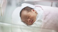 CDCs Universal Recommendations for Infant Hep B Vaccine Not Based on Science, But Assumptions