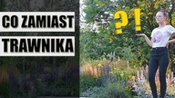 Co zamiast TRAWNIKA ?