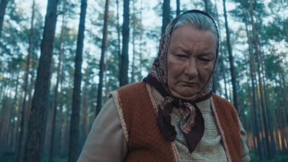 Grzyby (2023) Cały film PL