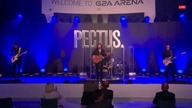 Pectus