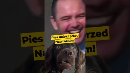Pies uciekł przed Nawrockim! #Nawrocki #Batyr #wybory2025 #polityka