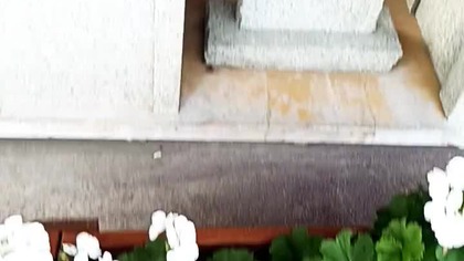 Papieski Ołtarz w Starym Sączu! Świadek pielgrzymki św.  Jana Pawła II do Polski w 1999! św.  Kinga