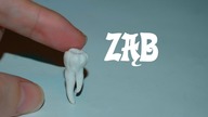 Lepiołki: Realistyczny Ząb , realistic tooth ✹------ TUTORiAL -----✹ , polymer clay, made hand