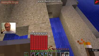 nasionka i drewno 8 (1416)