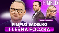 DUDA, WIELKA MIŁOŚĆ.  PODSŁUCHY I UŁASKAWIENIA | SEJMFLIX