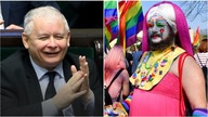 PiS chroni LGBT! - Konrad Smuniewski || NCzas TV / Wolność24.pl