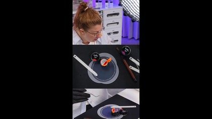 Prezentuje nasze produkty