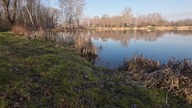 [#36] Staw Przeprawowy Żary - METHOD FEEDER i wędkowanie ze szwagrem.