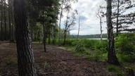[#32] KLASYCZNY FEEDER na jeziorze Dąbie Duże (Lubuskie)