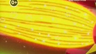 Krypto. the. Superdog. S01E19