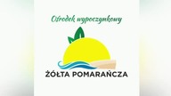 piękna sobota na plaży w Cisowie