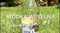 Dzika Kaczka - WÓDKA NA WESELE  Recenzja 6 | czy | #mójbar #wódkaweselna #wódka #shorts
