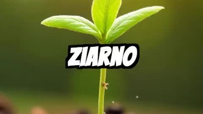 Unlock Your Inner Fire: Transform Challenges into Triumphs!