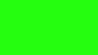 3- greenscreen hd 1080 chrome key kocham ciebie mamo