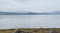 Lajvik z Tromso