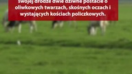 Kiedy w Polsce wylądowało UFO